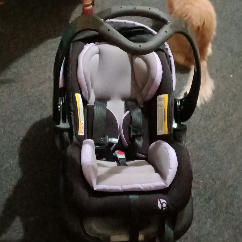 Brand New baby trend car seat good for 5lbs to 35lbs